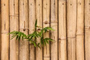 Bamboo Fencing Freedom Fence