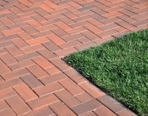 Grass Cornered by Bricks